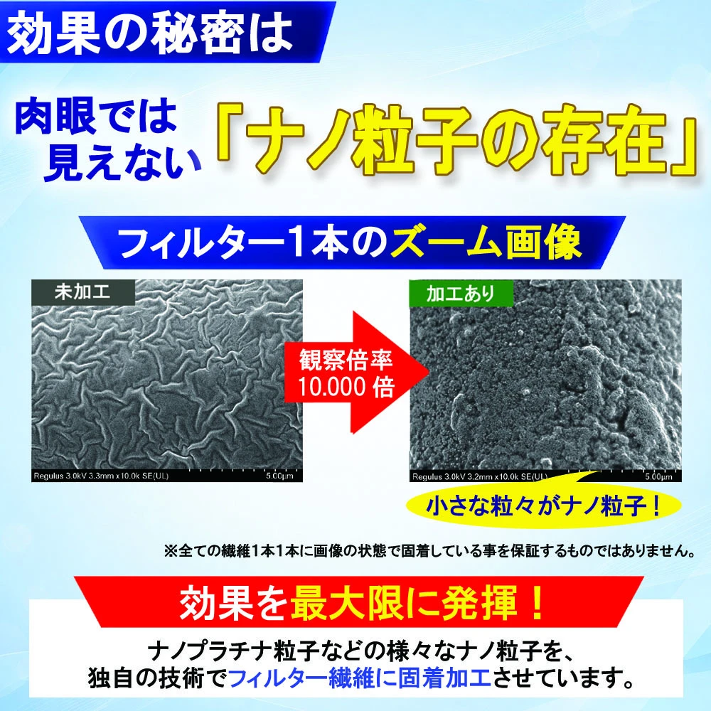 サンプル画像